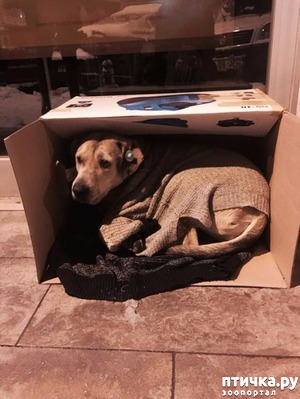 ����: ����� ������ ����. ������ �������� ������� ����� ��� ����������� ��������