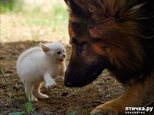 ���� 2: ��� ������ �������