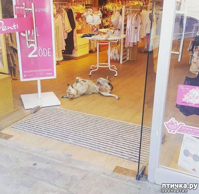 ���� 5: ����� ������ ����. ������ �������� ������� ����� ��� ����������� ��������