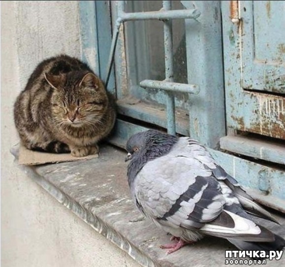 ���� 2: ������ � ������