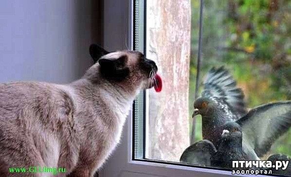 ���� 3: ������ � ������