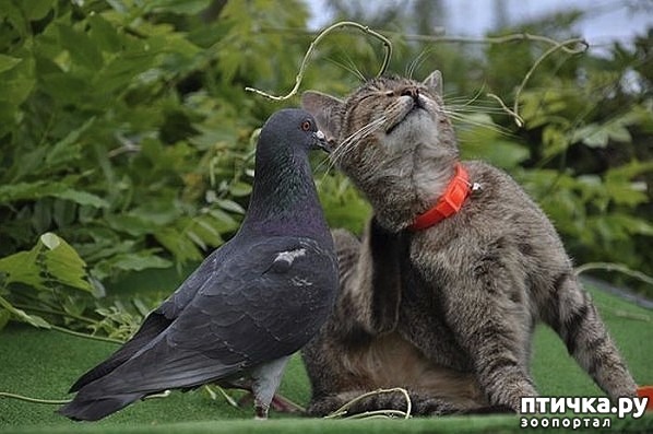 ���� 5: ������ � ������