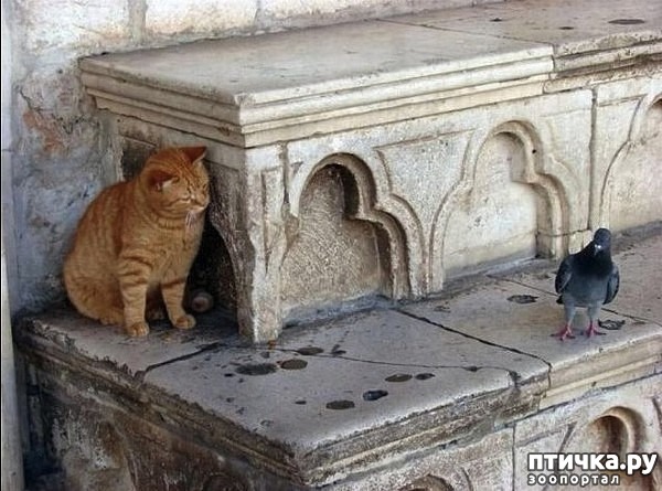 ���� 6: ������ � ������