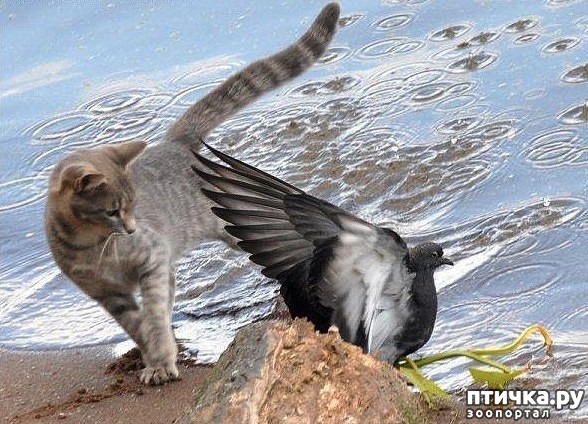 ���� 7: ������ � ������