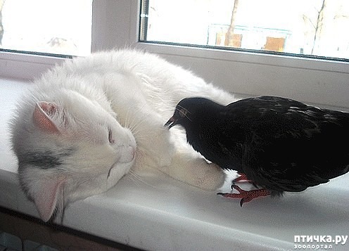 ���� 8: ������ � ������