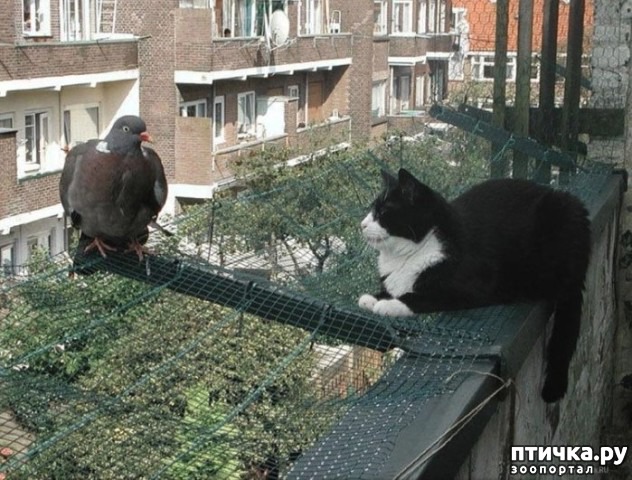 ���� 9: ������ � ������