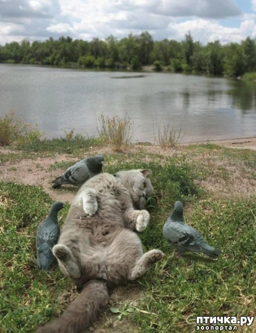 ���� 1: ������ � ������