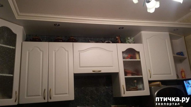 ���� 1: ������� �����)))