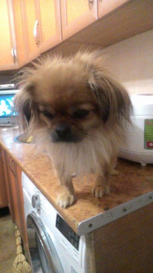 ����: ��� ���� ����� ����������