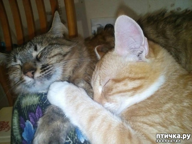 ���� 1: ��� ������� ������