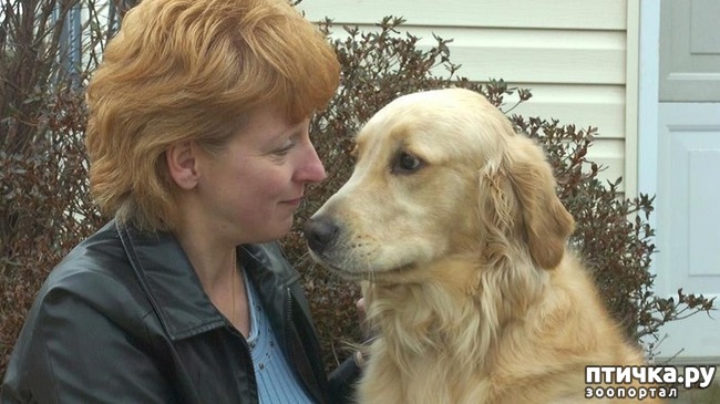 ���� 1: 10 ������������ ������� � ��������-������, ������� ����� �� ������