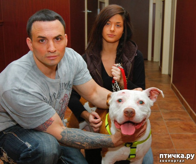 ���� 5: 10 ������������ ������� � ��������-������, ������� ����� �� ������