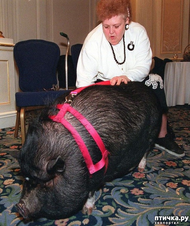 ���� 6: 10 ������������ ������� � ��������-������, ������� ����� �� ������