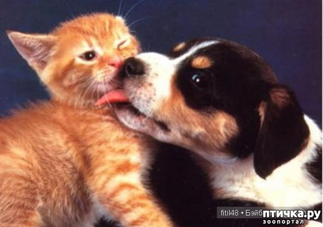 ���� 9: �����������: ��� ����� � �������-2!