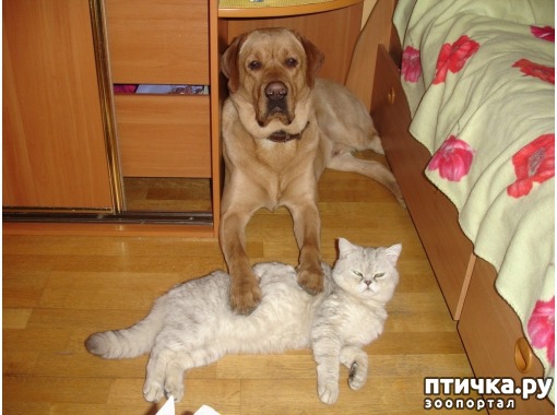 ���� 14: �����������: ��� ����� � �������-2!