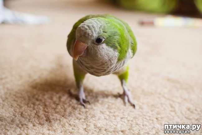 ���� 8: 10 ������������ ������� � ��������-������, ������� ����� �� ������