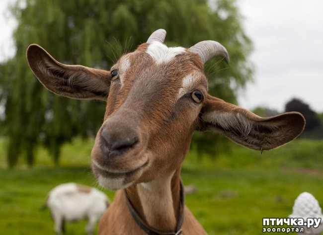 ���� 9: 10 ������������ ������� � ��������-������, ������� ����� �� ������