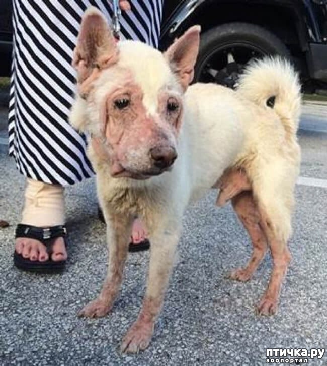 ���� 1: � ������ ���������� ��������� ����� ����� ���� ��� � ������ ��� � ������ �� ����������