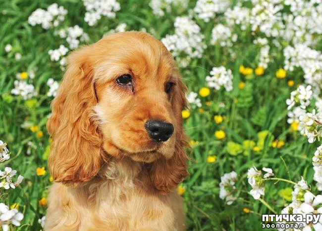 ���� 10: 10 ������������ ������� � ��������-������, ������� ����� �� ������