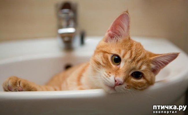 ���� 11: 10 ������������ ������� � ��������-������, ������� ����� �� ������