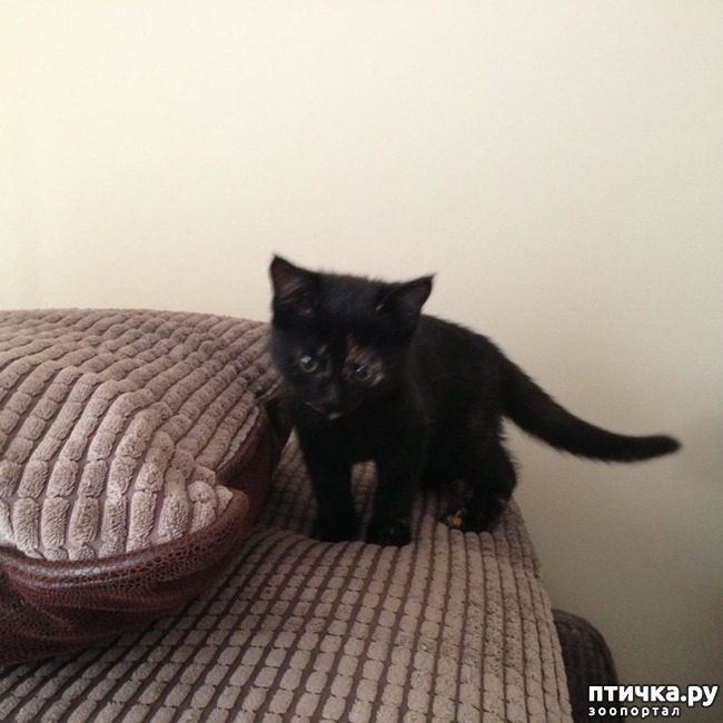 ���� 2: ���������� ��� ������ �������))