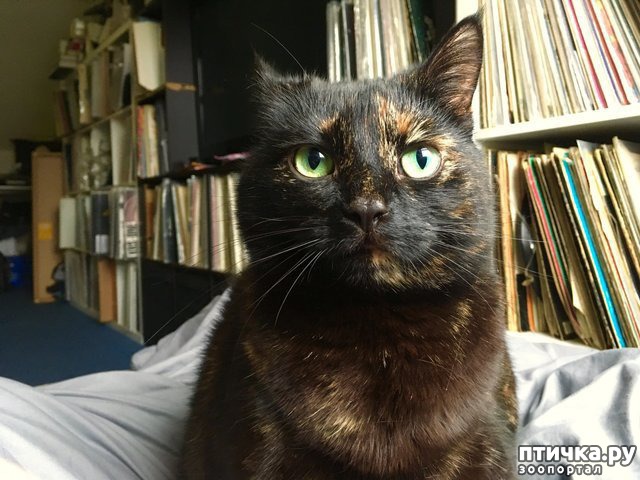 ���� 3: ���������� ��� ������ �������))