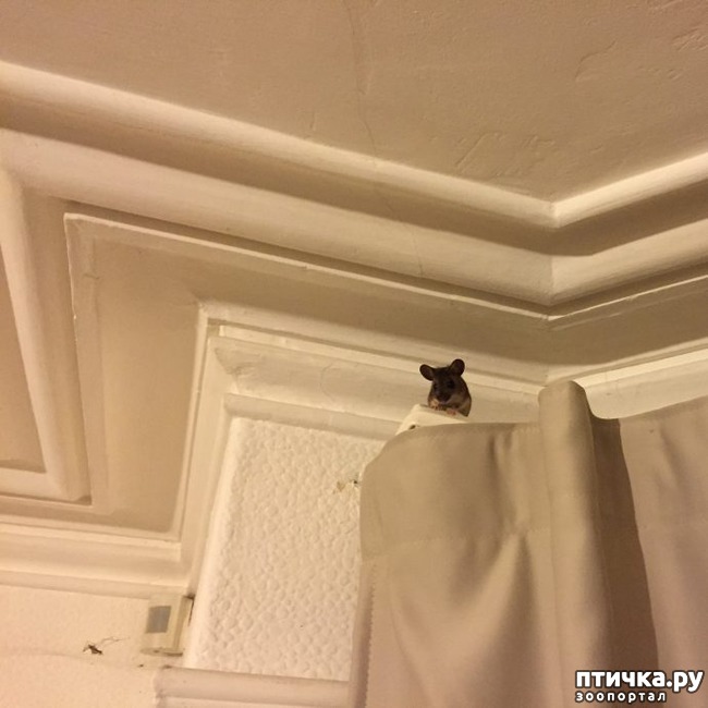 ���� 4: ���������� ��� ������ �������))