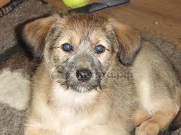 ���� 1: � ����� ��� ������ �����...