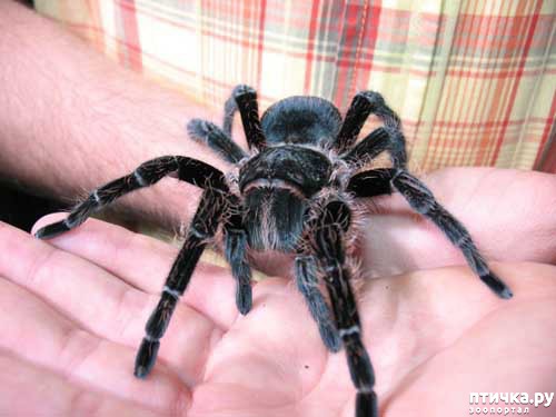 ���� 4: � ������ �� ���, ���� ���������