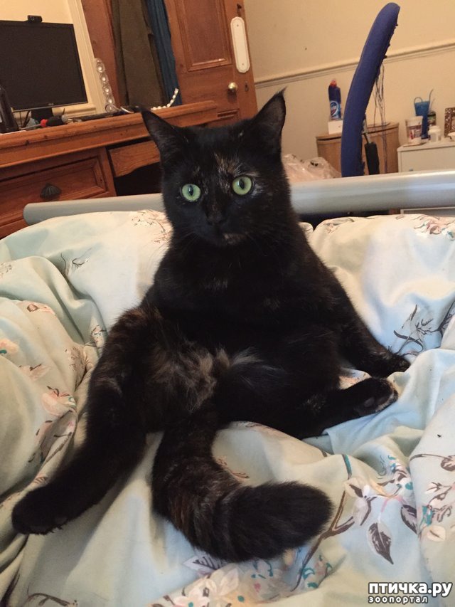 ���� 6: ���������� ��� ������ �������))