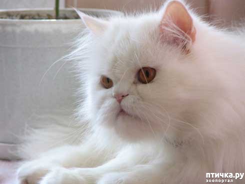 ���� 5: � ������ �� ���, ���� ���������