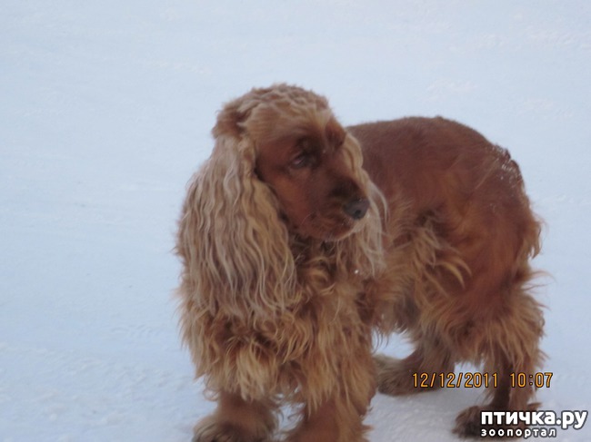 ���� 2: ���� �������