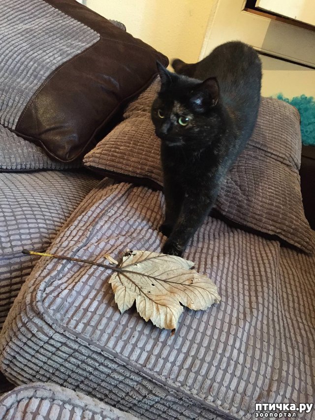 ���� 7: ���������� ��� ������ �������))