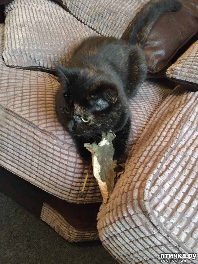 ���� 8: ���������� ��� ������ �������))