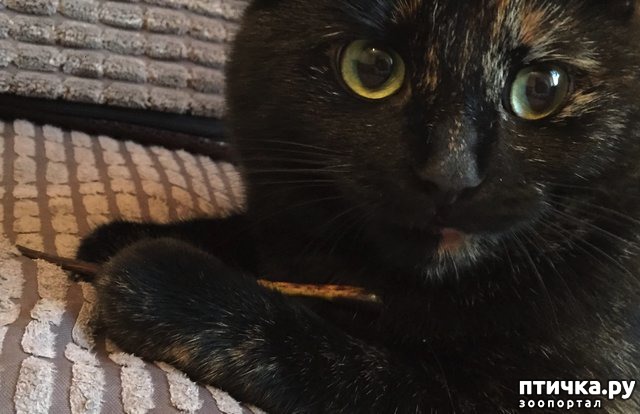 ���� 9: ���������� ��� ������ �������))