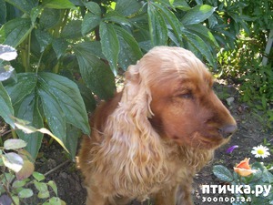 ����: ���� �������