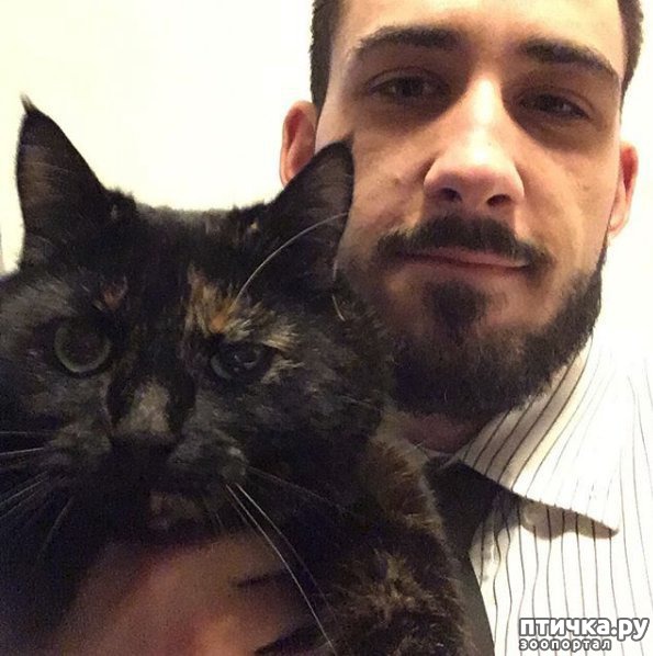 ���� 10: ���������� ��� ������ �������))