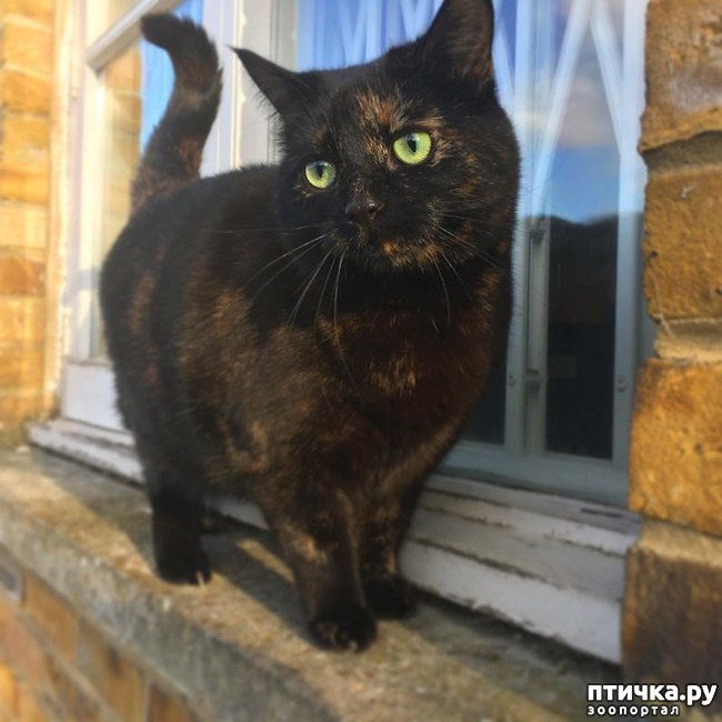 ���� 11: ���������� ��� ������ �������))