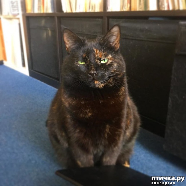 ���� 12: ���������� ��� ������ �������))