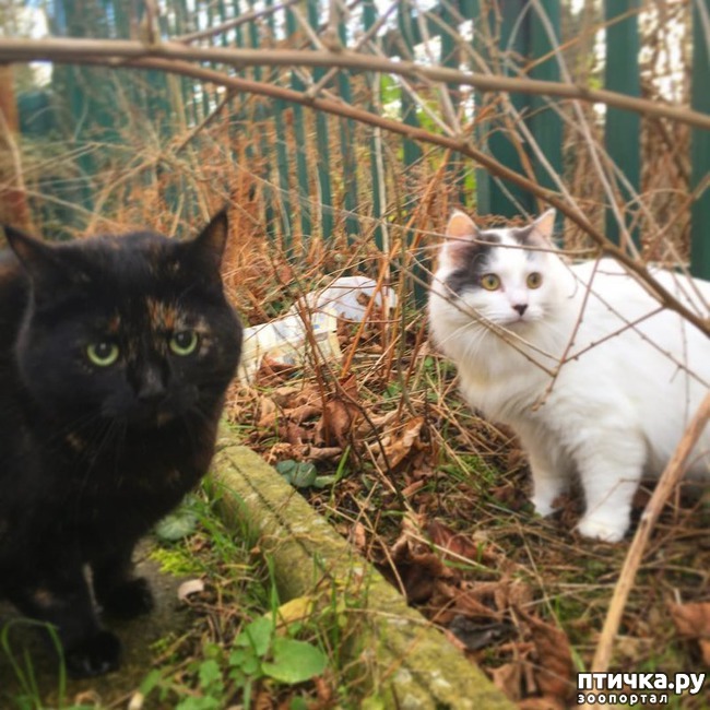 ���� 14: ���������� ��� ������ �������))