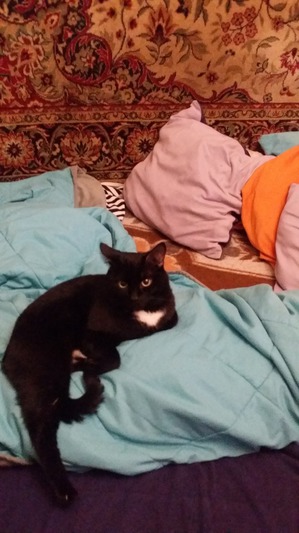 ����: ��� ��� � ��������.