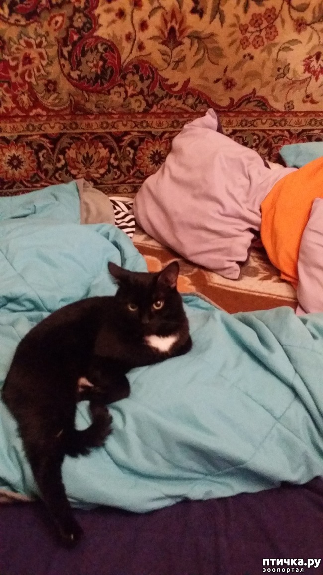 ���� 1: ��� ��� � ��������.