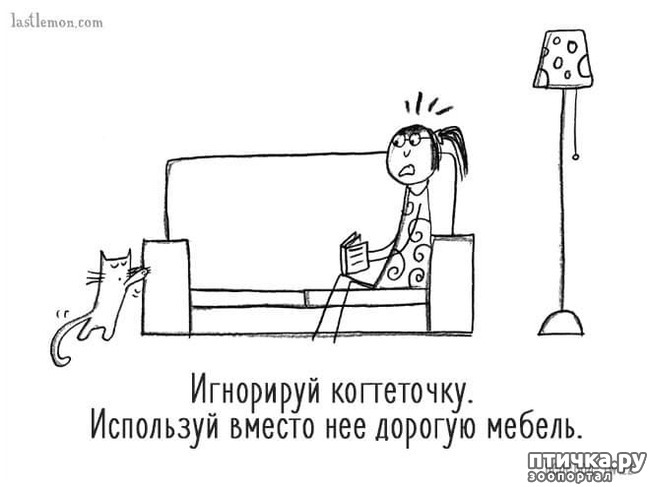 ���� 2: ��� ����� �����?