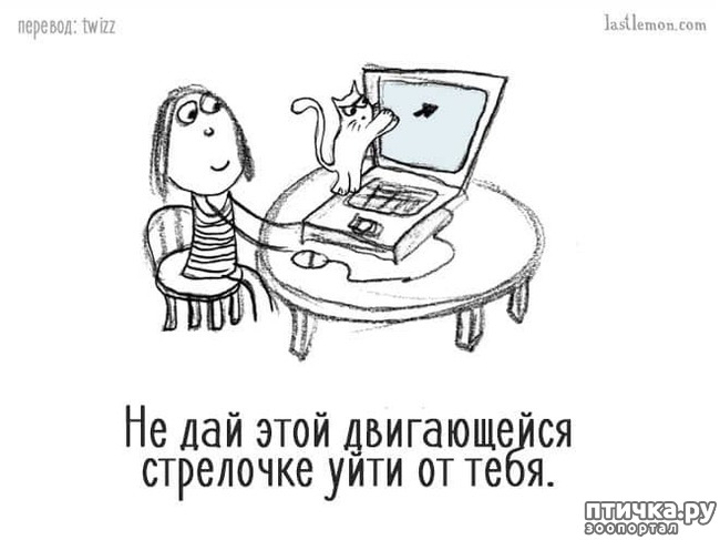 ���� 3: ��� ����� �����?