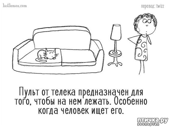 ���� 4: ��� ����� �����?