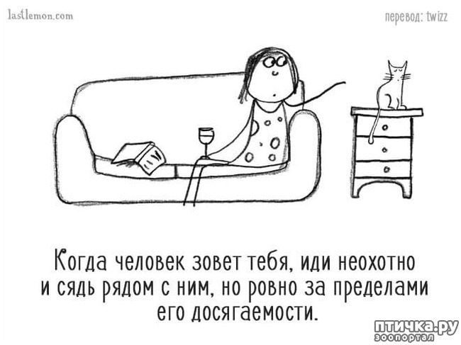 ���� 5: ��� ����� �����?