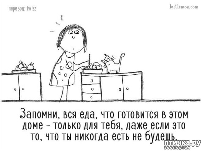 ���� 7: ��� ����� �����?