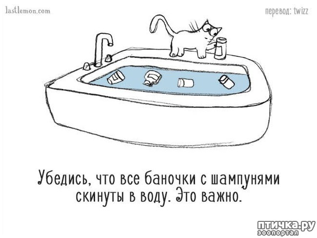 ���� 9: ��� ����� �����?