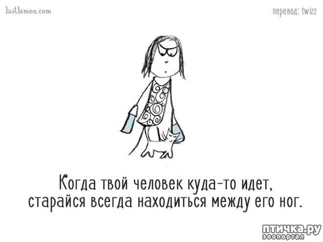 ���� 10: ��� ����� �����?