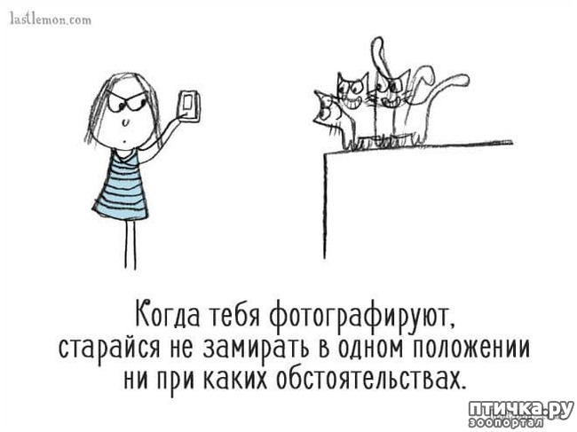 ���� 11: ��� ����� �����?